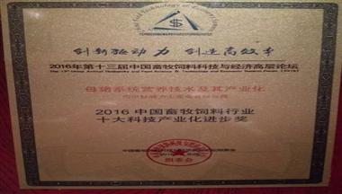 鐵騎力(li)士榮獲2016中(zhong)國(guo)畜牧飼料行業&ldquo;十大(da)科(ke)技(ji)産(chan)業化進(jin)步