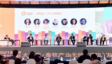 2021如何度過(guo)?鐵騎力(li)士集(ji)團(tuán)運營(ying)總裁鄧先(xian)鋒在(zai)“太陽(yáng)鳥”