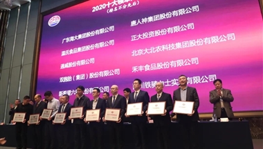 行業榮耀時刻!鐵騎力(li)士集(ji)團(tuán)再獲“十大(da)領(ling)軍飼料齊(qi)業”!