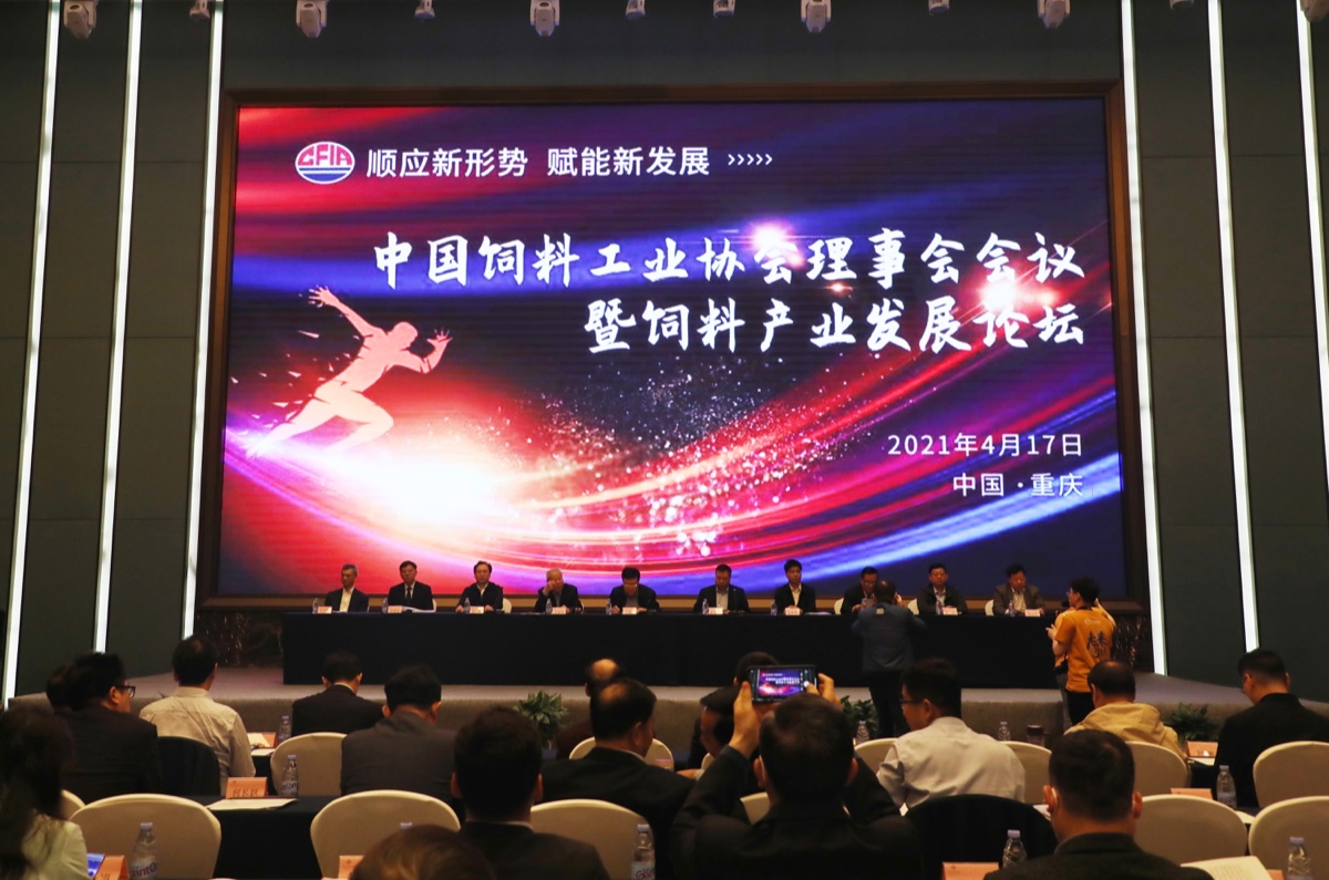 2021-04-17 04.52.27 1.jpg